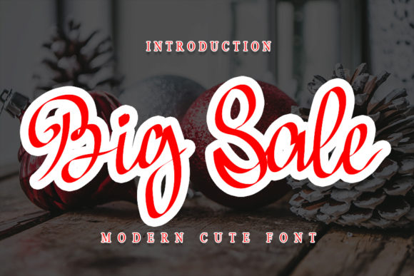 Big Sale: A Delicate and Timeless Font for Branding
