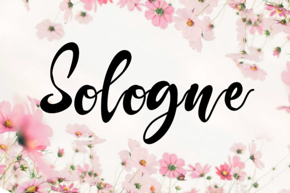 Discovering Sologne: A Handwritten Font for Elegant Design