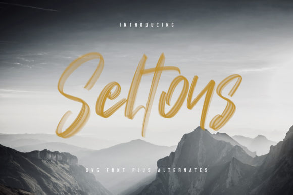 Enhance Your Brand with Seltons: A Stylish Script Font