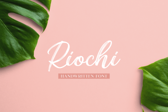 Transform Your Brand with Riochi: A Versatile Font Duo