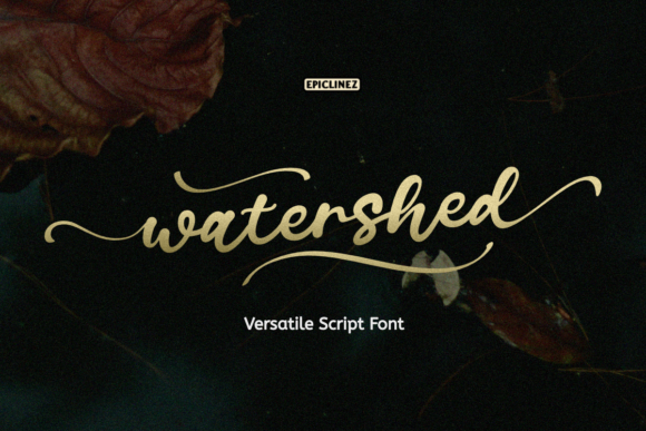 Transform Your Brand with Watershed: A Charming Script Font